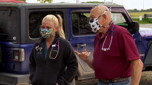 The Incredible Dr. Pol Season 19 Episode 4 - Fresh Off the Bloat