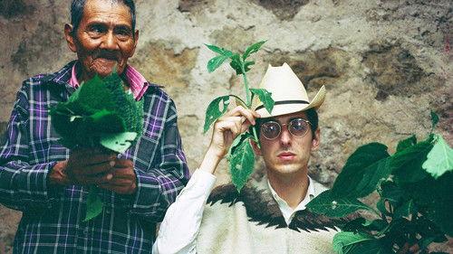 Hamilton's Pharmacopeia Season 1 Episode 3 - Shepherdess: The Story of Salvia Divinorium