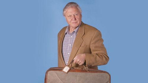 The Life of Mammals Season 1 Episode 6 - Opportunists