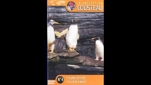 The Undersea World of Jacques Cousteau Season 1 Episode 26 - The flight of penguins