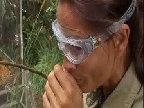 I'm a Celebrity...Get Me Out of Here! Season 14 Episode 18 - Critter Conveyor