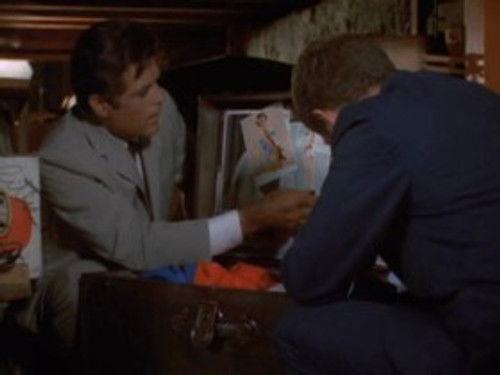 Hawaii Five-O Season 2 Episode 18 - Killer Bee