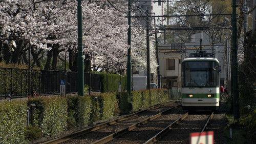 Shin Nihon Fudoki Season 12 Episode 16 - Episode 16