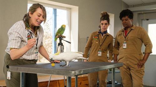 Pretty Hard Cases Season 3 Episode 2 - Ten Thousand Steps