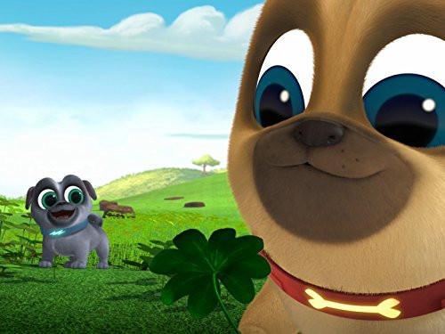 Puppy Dog Pals Season 1 Episode 22 - Polly Wants A Pug