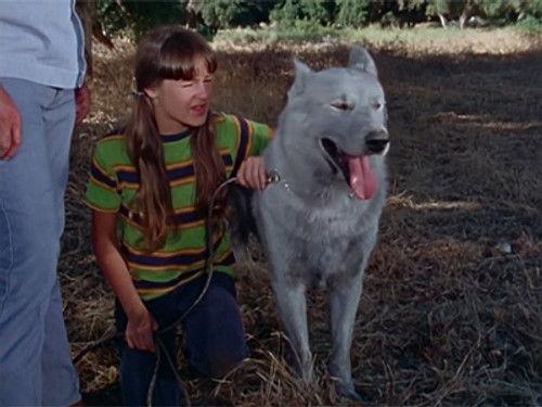 Shazam! Season 2 Episode 5 - Goodbye, Packy