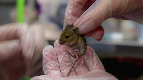 Joanna Page's Wild Life Season 1 Episode 8 - Episode 8