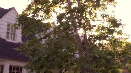 90210 Season 2 Episode 7 - Unmasked