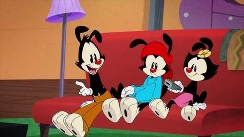 Animaniacs Season 2 Episode 15 - Know Your Scroll