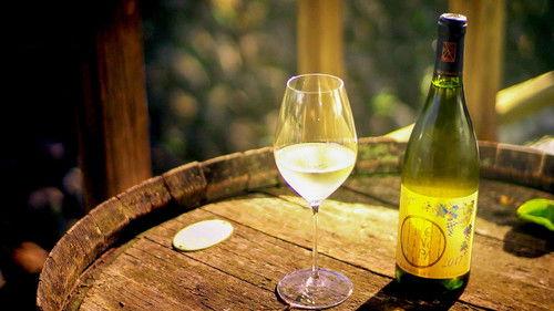 Journeys in Japan Season 11 Episode 22 - Passion on the Vine: Yamanashi and Its Winemakers