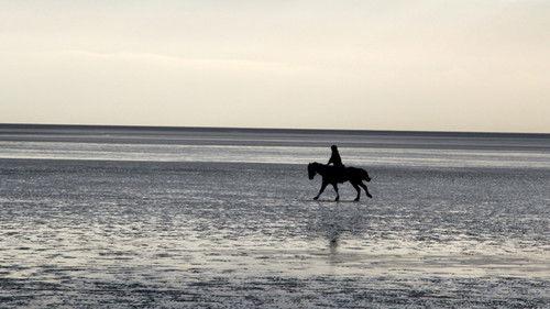 The Great British Winter Season 1 Episode 4 - Estuaries