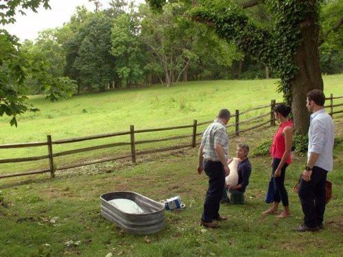 Royal Pains Season 4 Episode 8 - Manimal