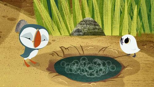 Puffin Rock Season 1 Episode 10 - Pond Life