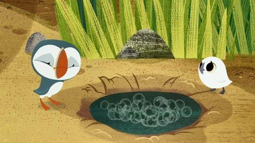 Puffin Rock Season 1 Episode 10 - Pond Life