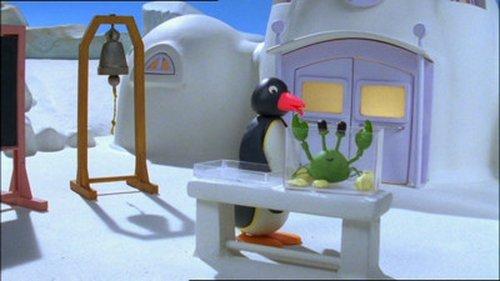Pingu Season 6 Episode 13 - Pingu and the School Pet