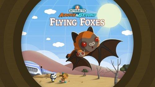Octonauts: Above & Beyond Season 1 Episode 23 - The Octonauts and the Flying Foxes