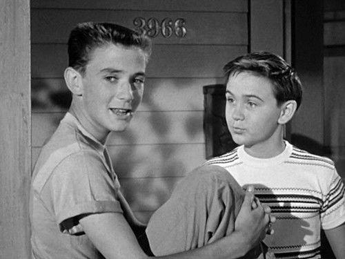 The Hardy Boys Season 1 Episode 1 - The Mystery Of The Applegate Treasure : An Introduction