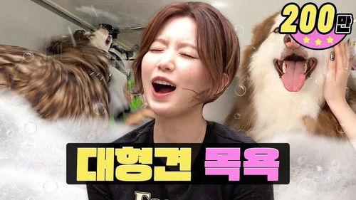 worK-dol Season 1 Episode 10 - The dog is too big, too hard to bathe😣ㅣBathing big dogs ㅣWorK-dol ㅣShuhua