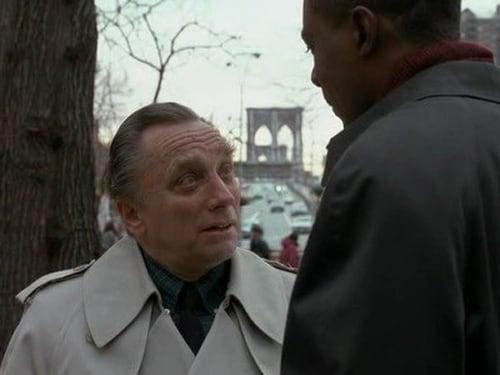 Law & Order Season 1 Episode 14 - The Violence of Summer