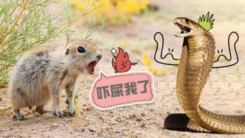 Dawn to Dusk Season 1 Episode 8 - Episode 8