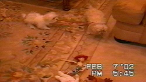 Funniest Pets & People Season 4 Episode 9 - Yummy!