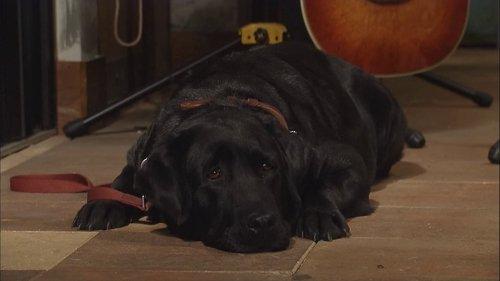 Mother at Fourteen Season 1 Episode 9 - Delivery ・ Life threatening 24 Hours