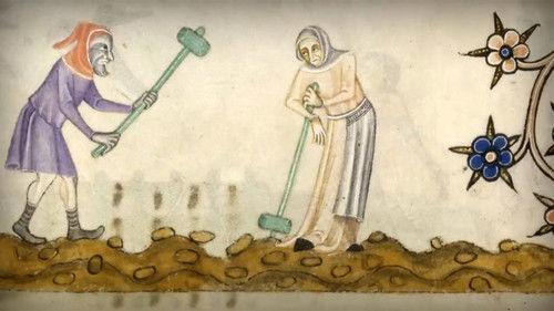 Time Team Season 16 Episode 12 - The Hollow Way - Ulnaby, County Durham