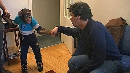 Monkey Business Season 5 Episode 9 - Episode 9