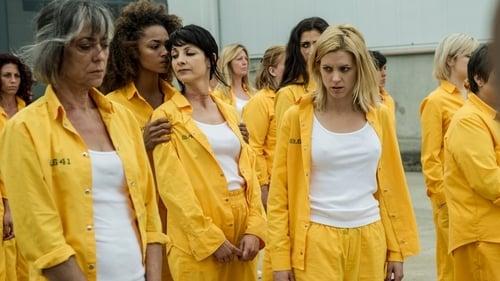 undefined Season 1 Episode 11 - The Turtle Principle