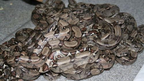 Akvariet Season 1 Episode 4 - Episode 4