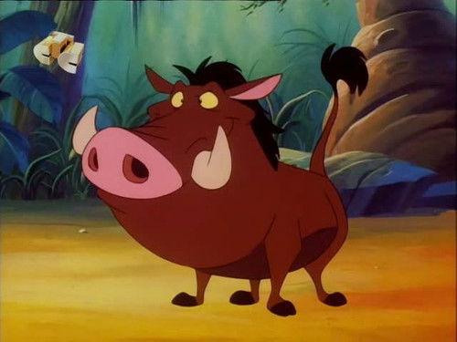 Timon and Pumbaa Season 1 Episode 23 - Yosemite Remedy