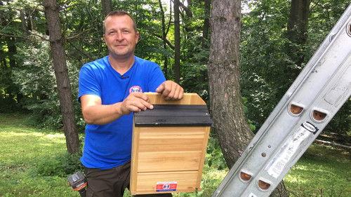 Louis and the Urban Jungle Season 1 Episode 8 - Episode 8