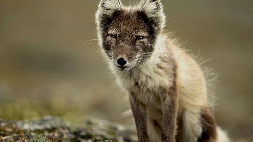 Secret Life of Predators Season 1 Episode 3 - Naked