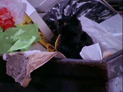 undefined Season 1 Episode 11 - A Girl and Her Cat