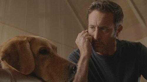 Hawaii Five-0 Season 10 Episode 14 - I hoʻolulu, hoʻohulei ʻia e ka makani (There Was a Lull, and Then the Wind Began to Blow About)