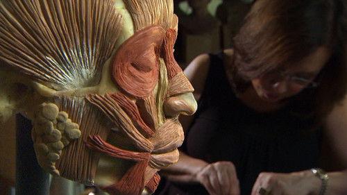 Forensic Firsts Season 1 Episode 3 - Skeletal Secrets