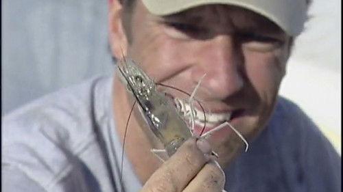 Dirty Jobs Season 1 Episode 10 - Shrimper