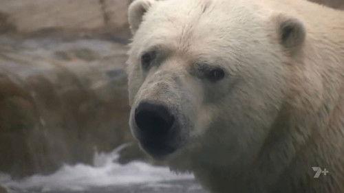 Gold Coast Ocean Rescue Season 1 Episode 9 - Episode 9