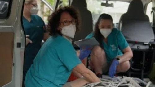 Taronga: Who's Who in the Zoo Season 5 Episode 10 - Savannah Elephants