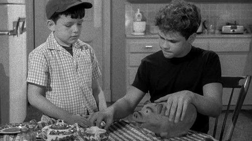 Leave It to Beaver Season 1 Episode 25 - The Broken Window