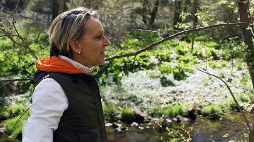 The Mind of a Chef Season 4 Episode 5 - Past