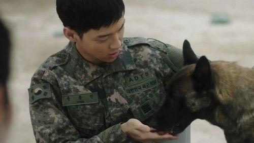 Search Season 1 Episode 9 - Episode 9