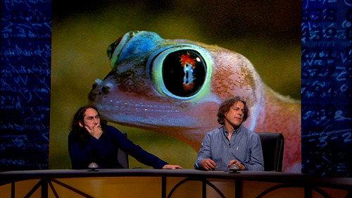 QI Season 14 Episode 10 - Nature/Nurture