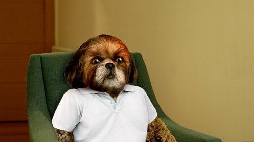 Aleixo Psi Season 1 Episode 1 - Episode 1