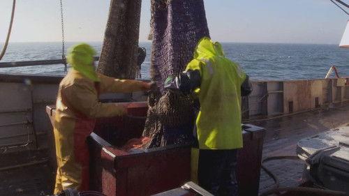 Urk! Season 1 Episode 4 - Episode 4