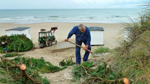 mare TV Season 12 Episode 7 - Episode 7