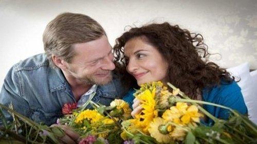 Der letzte Bulle Season 3 Episode 1 - A Real Hero