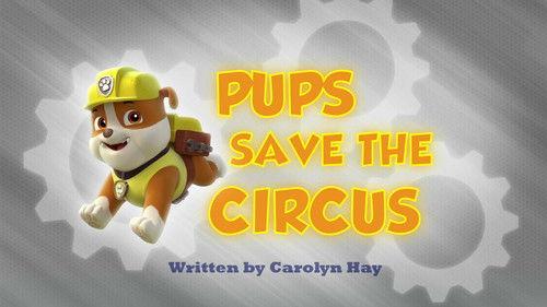 undefined Season 1 Episode 7 - Pups Save the Circus