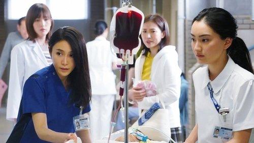 Radiation House Season 1 Episode 6 - The Pine Tree