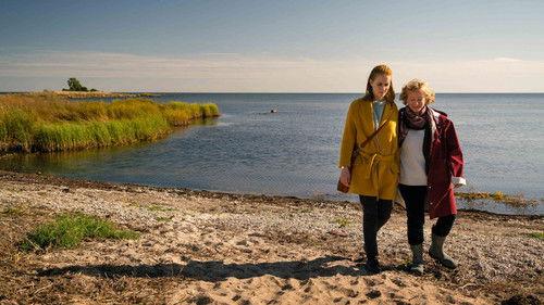 undefined Season 13 Episode 4 - Episode 4